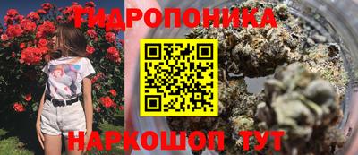 твердый Будённовск