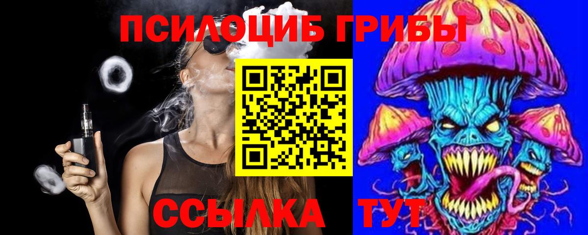 Ростов Великий  Псилоцибиновые грибы Magic Shrooms  Вход с VPN 